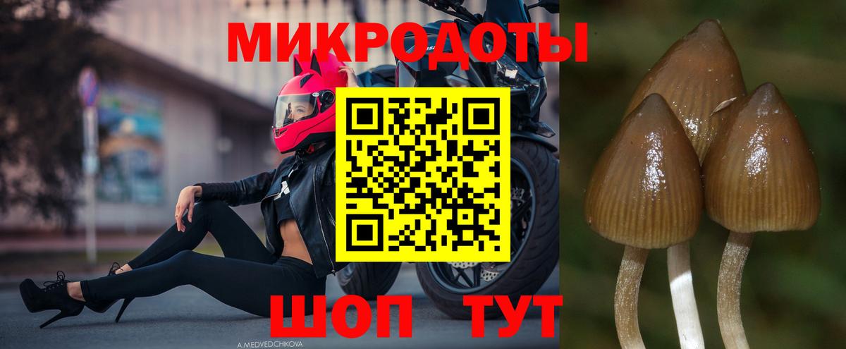 Галлюциногенные грибы Psilocybine cubensis  Вход с VPN  Галлюциногенные грибы Magic Shrooms  Волгоград 